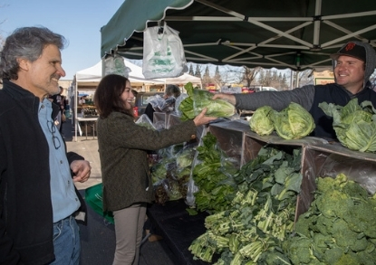 Wellness Farmers Market