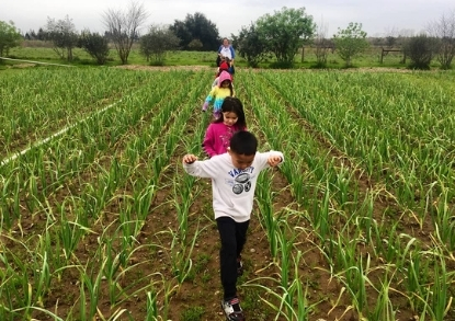 Wellness Soil Born Farms