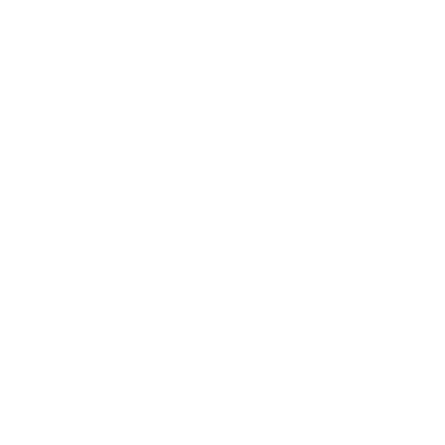 Services Police