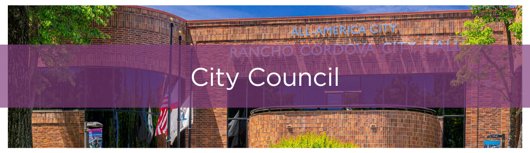 City Council Slider 1