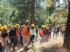 2023 Forestry Challenge